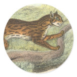 Leopard-Cat, Felis bengalensis stickers