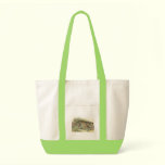 Leopard-Cat (Javan Variety) Felis javanensis bags