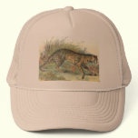 Leopard-Cat (Javan Variety) Felis javanensis hats