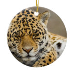 Leopard Cub Ornament