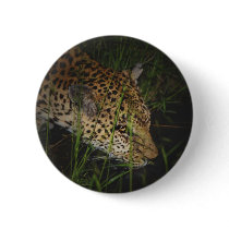 Leopard drinking in the wild safari buttons badges