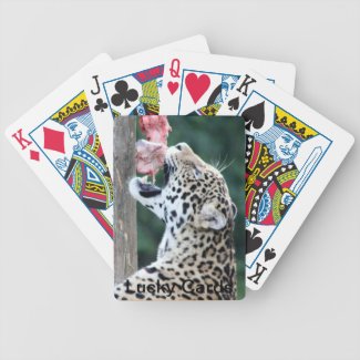 Leopard Eating  Playing Cards