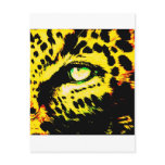 Leopard Eye Postcards