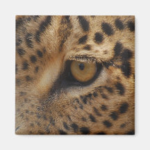 Leopard Eye Refrigerator Magnets