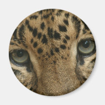 Leopard Eyes Fridge Magnet