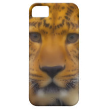 Leopard Face iPhone 5 Covers