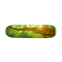 leopard fish skateboard by full230 leopard fish skateboard