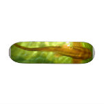 leopard fish skateboard
