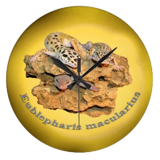 Leopard gecko design for all!