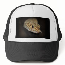 Leopard Gecko Hat by JoniceC Leopard Gecko Hat