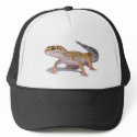 Leopard Gecko Hat