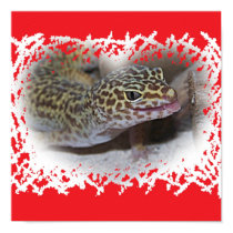 Leopard Gecko Lizard Tongue sticking Out Poster posters
