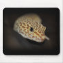 Leopard Gecko Mousepad