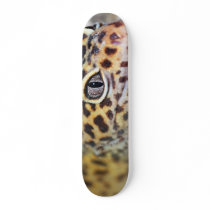 leopard gecko skateboards