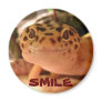 Leopard Gecko Smile Magnet