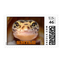 Leopard Gecko Smile Stamp