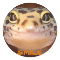 Leopard Gecko Smile Sticker by kjrband44 Leopard Gecko Smile Sticker