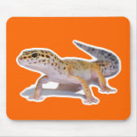 Leopard Geckos Mouse Pad
