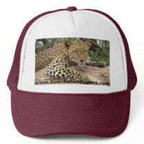 Leopard Hat