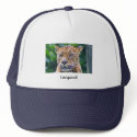 Leopard hats