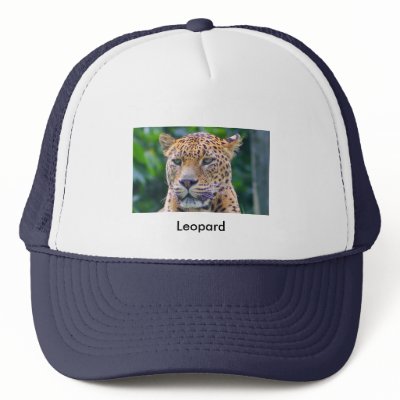 Leopard Hats by jdmphotography
