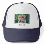 Leopard hats