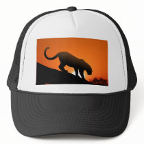 Leopard in tree hats