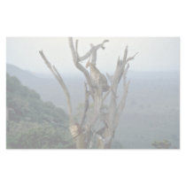 Leopard, Kenya Stationery Design
