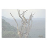 Leopard, Kenya Stationery Design