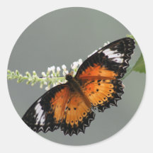 Leopard Lacewing Sticker