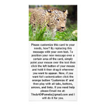 Leopard Looking at his Prey Photo Card Template