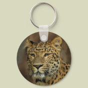 leopard lovers