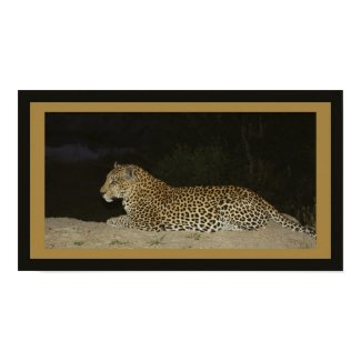Leopard lying on sand bank wildlife 2 print