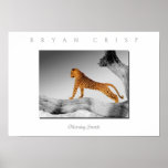 Leopard Morning Stretch Photo Art Print