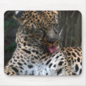 Leopard mousepads
