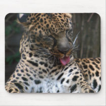 Leopard mousepads by amytakacs Leopard mousepads