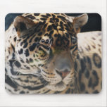 leopard mousepad