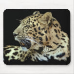 Leopard Mousepads