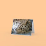 Leopard Note Card