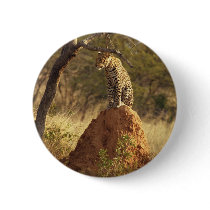 Leopard on Termite Mound in Namibia Pins