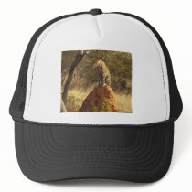 Leopard on Termite Mound in Namibia Hat