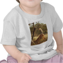 Leopard on Termite Mound in Namibia T Shirts