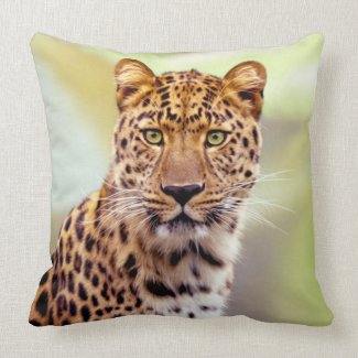 Leopard Photograph Pillows