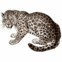 Leopard photo sculptures by pnloverme Leopard photo sculptures