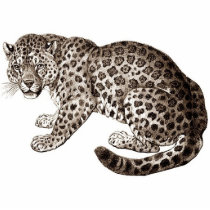 Leopard photo sculptures by pnloverme Leopard photo sculptures