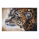 leopard portraite posters by dean51 leopard portraite posters