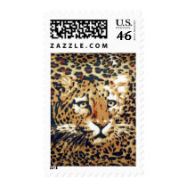 Leopard Stamp