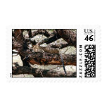 Leopard Postage