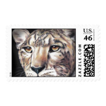 Leopard Postage Stamp