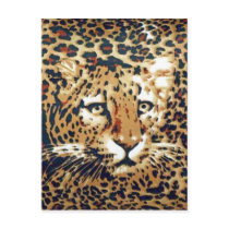 Leopard Post Cards